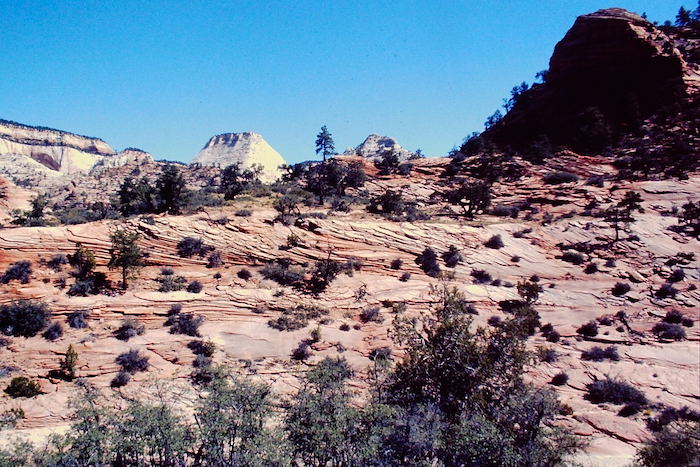 zion national park sandstone